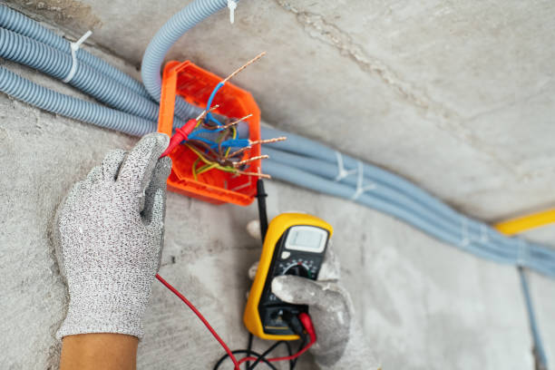 Best Generator Installation Services  in Geneva, IN